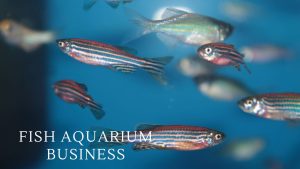 Fish Aquarium Business (1)