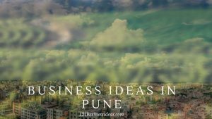 Business ideas in Pune (2) (1)