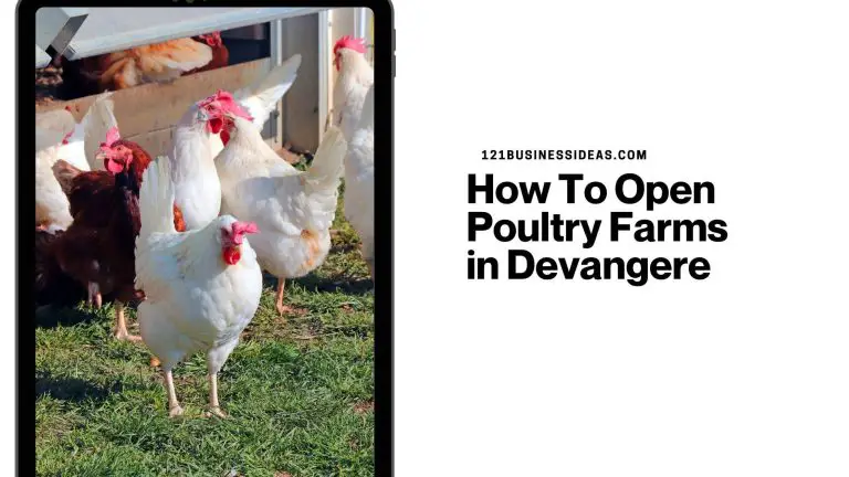 How To Open Poultry Farms in Devangere