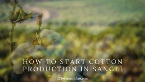How To Start Cotton Production in Sangli (2) (1)