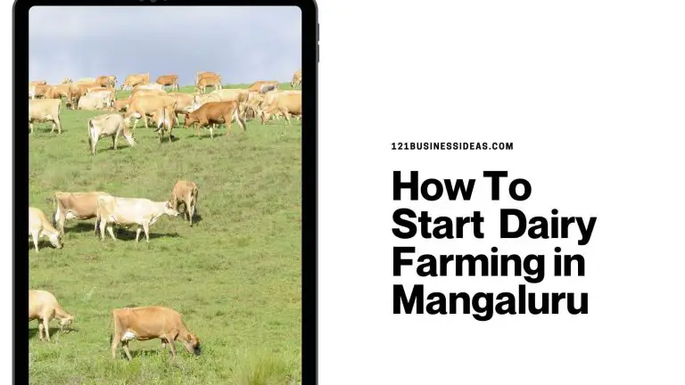How To Start Dairy Farming in Mangaluru