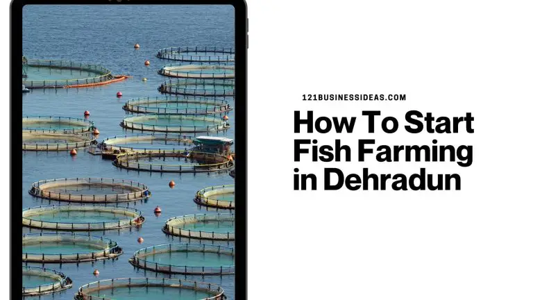 How To Start Fish Farming in Dehradun