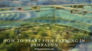 How To Start Fish Farming in Dehradun (2) (1)