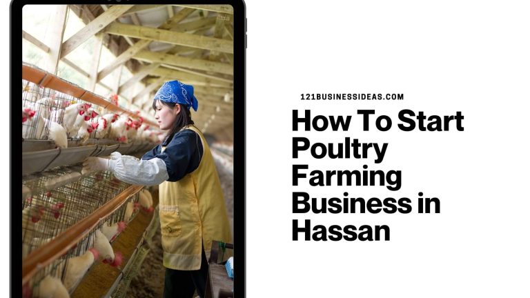 How To Start Poultry Farming Business in Hassan