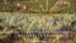 How To Start Poultry Farming Business in Sangli (2) 