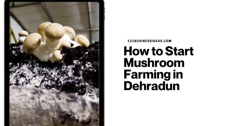 How to Start Mushroom Farming in Dehradun