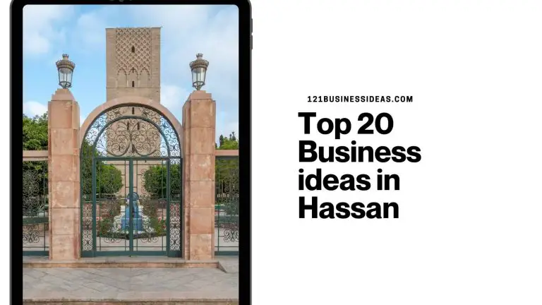 Top 20 Business ideas in Hassan