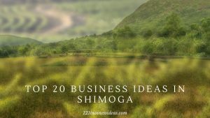 Top 20 Business ideas in Shimoga (3) (1)