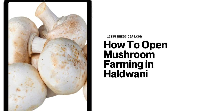 How To Open Mushroom Farming in Haldwani