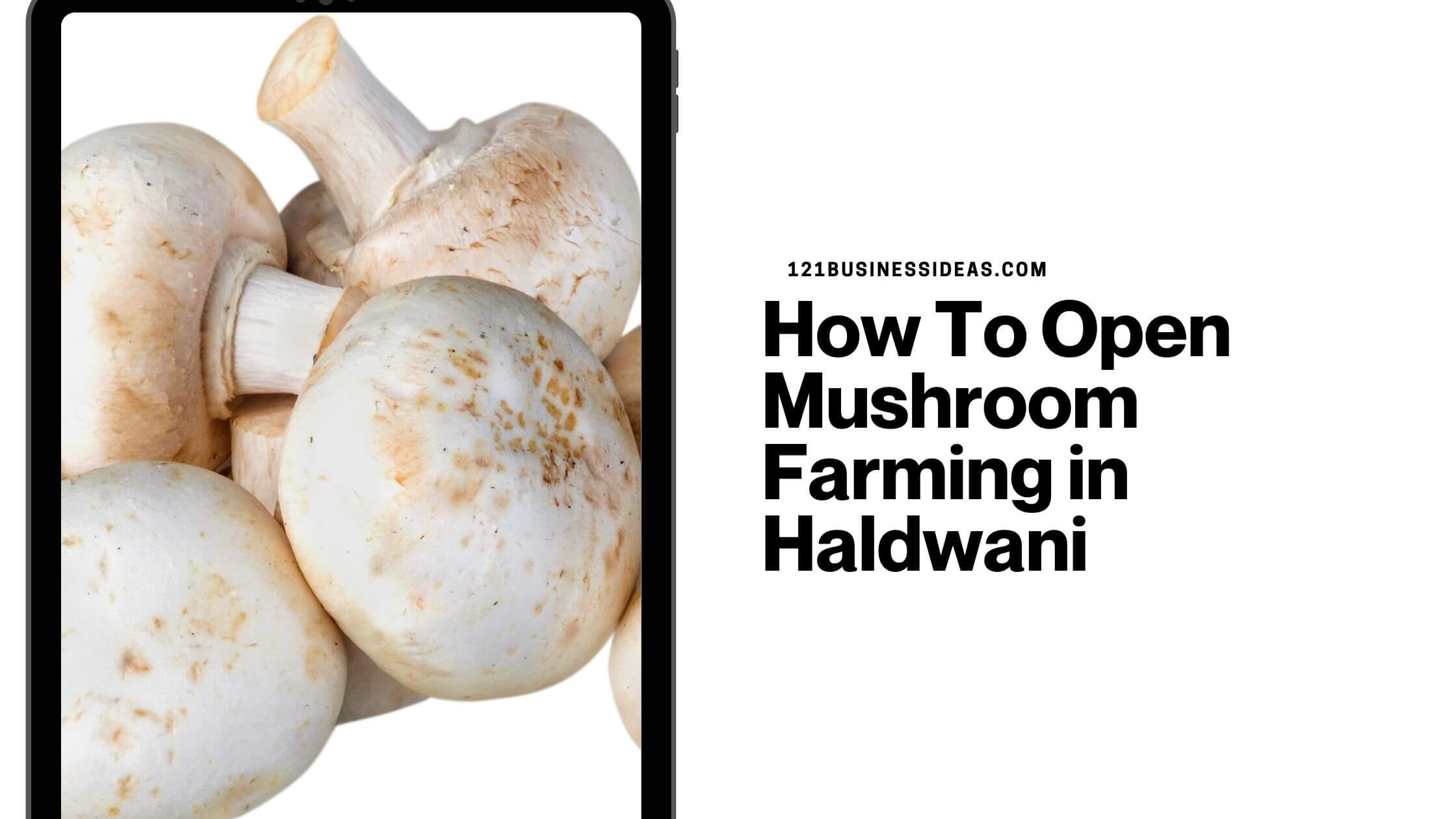 How To Open Mushroom Farming in Haldwani (1)