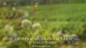 How To Open Mushroom Farming in Haldwani (2)