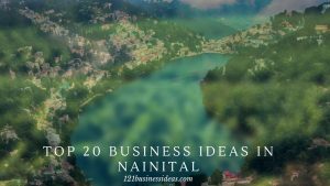 Top 20 Business ideas in Nainital (2)