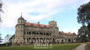Top 20 Business ideas in Shimla (1)