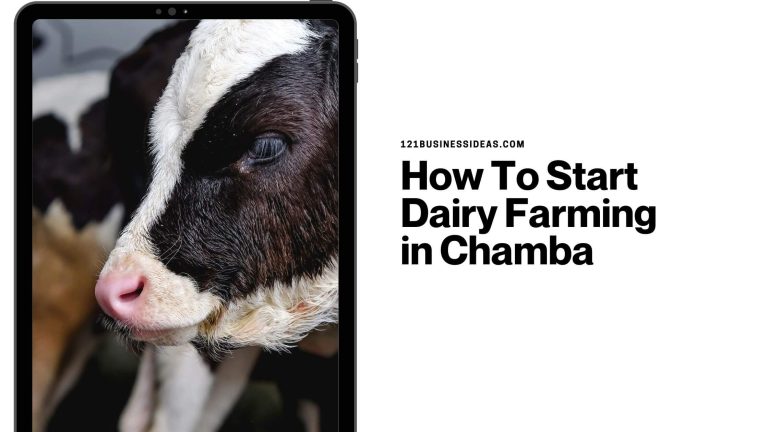 How To Start Dairy Farming in Chamba