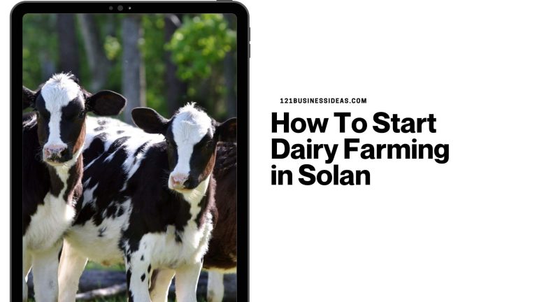 How To Start Dairy Farming in Solan