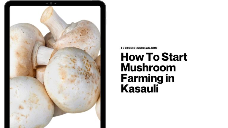 How To Start Mushroom Farming in Kasauli