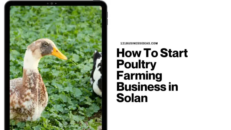 How To Start Poultry Farming Business in Solan