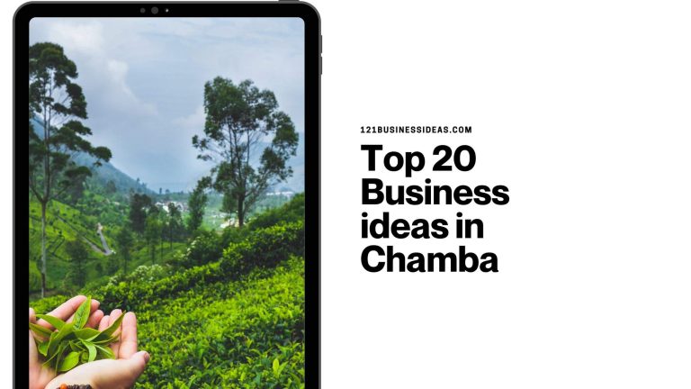 Top 20 Business ideas in Chamba