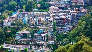 Top 20 Business ideas in Chamba (2) (1)