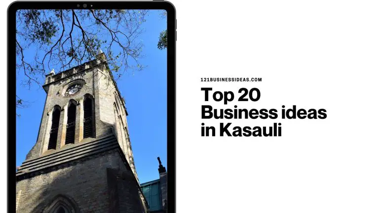 Top 20 Business ideas in Kasauli