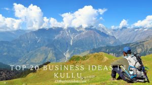 Top 20 Business ideas in Kullu (1)