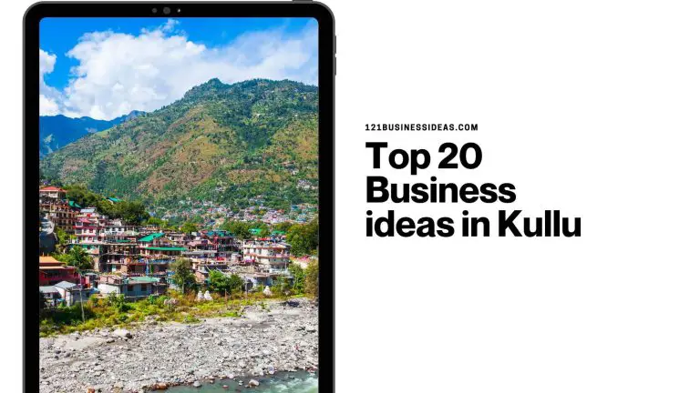 Top 20 Business ideas in Kullu