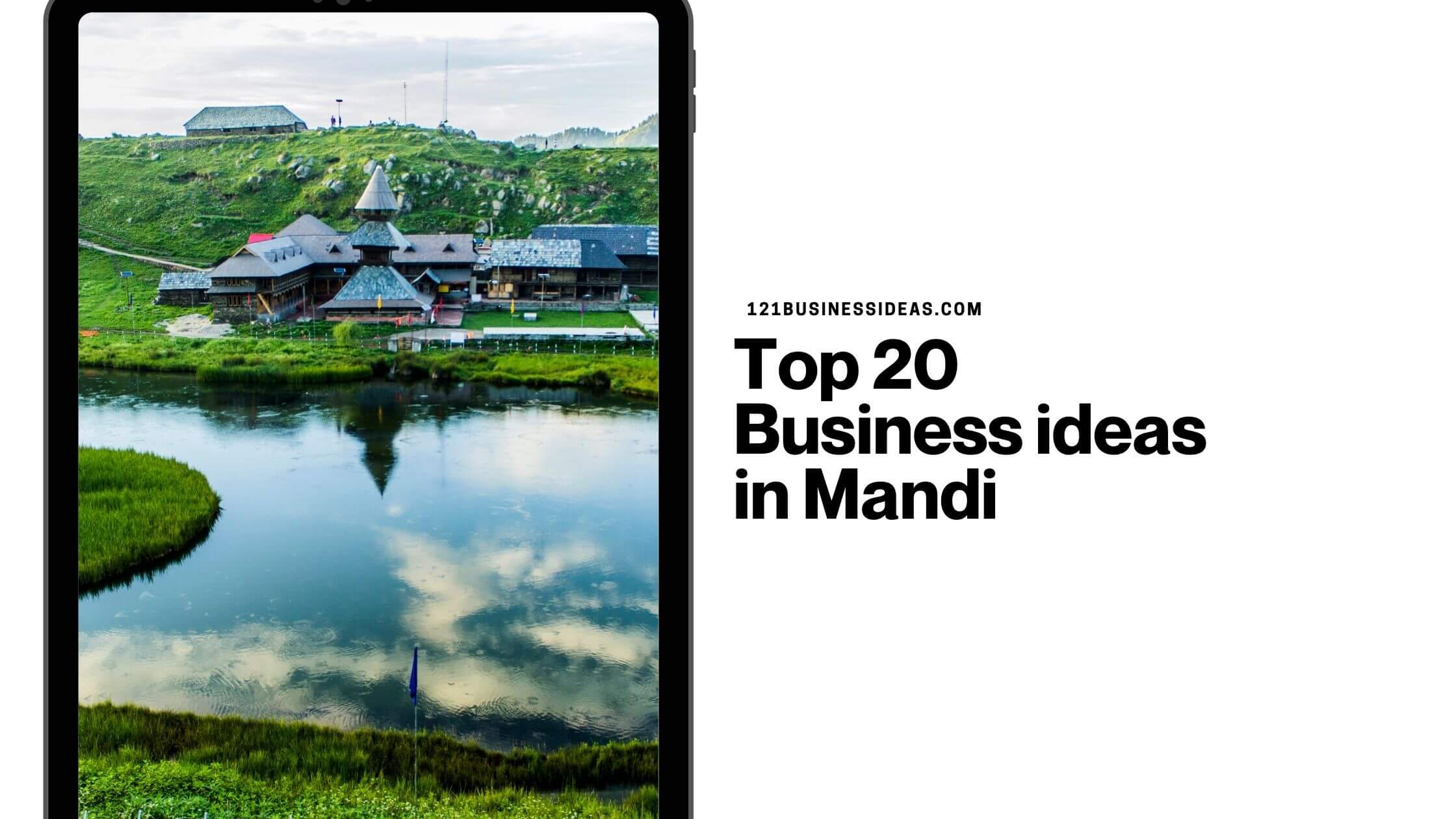 Top 20 Business ideas in Mandi (1)