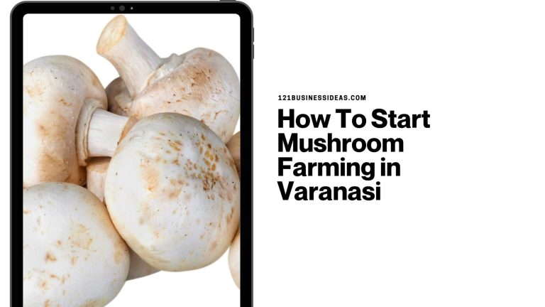 How To Start Mushroom Farming in Varanasi