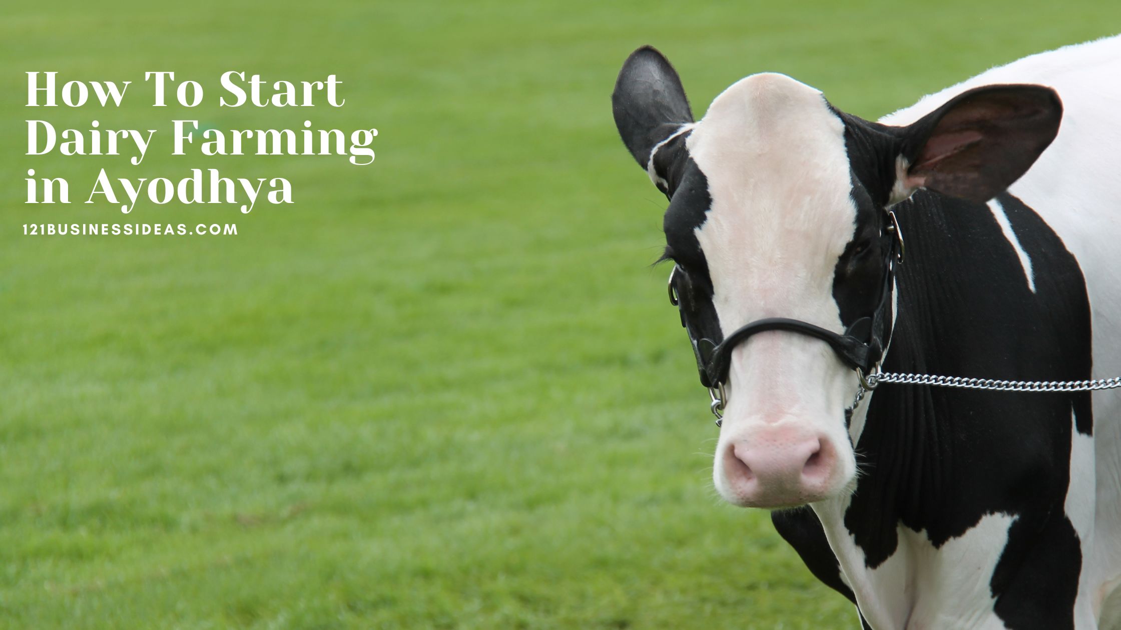 How To Start Dairy Farming in Ayodhya